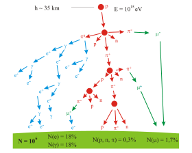 Un arbre logique représentant la production de particules